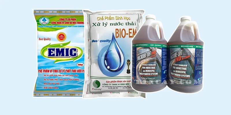 Chế phẩm vi sinh xử lý nước thải và các điều kiện sử dụng