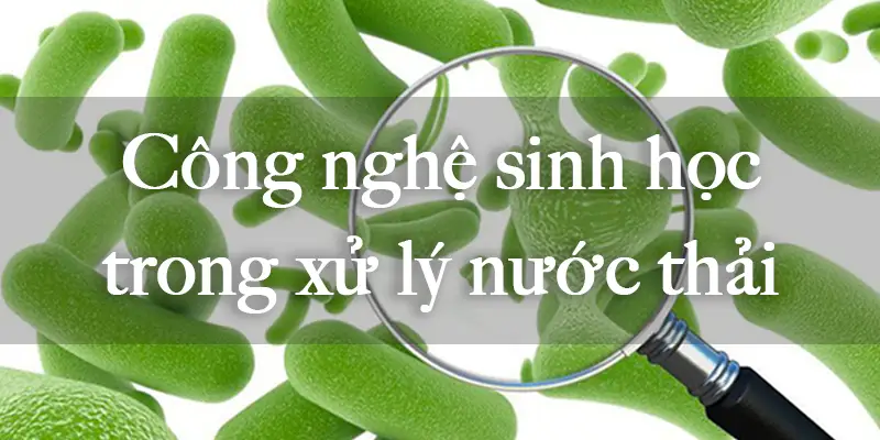 Công nghệ sinh học xử lý nước thải và quy trình thực hiện