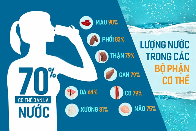 tầm quan trọng của nước đối với sự sống