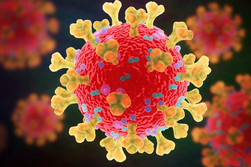 Virus