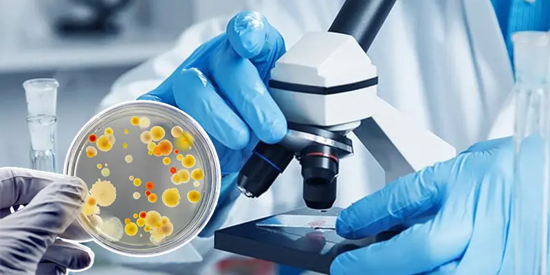 Các loại vi sinh xử lý nước thải hiệu quả nhất năm 2024